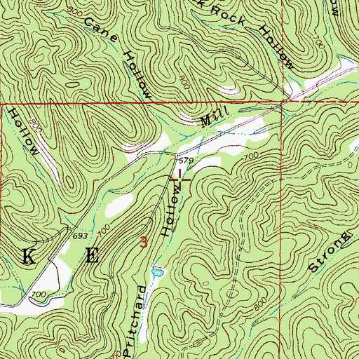 Topographic Map of Pritchard Hollow, MO