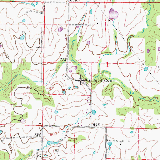 Topographic Map of Prospect Cemetery, MO