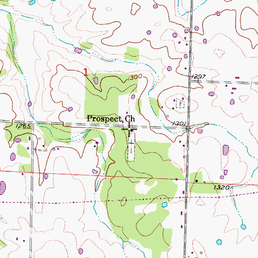 Topographic Map of Prospect Church, MO