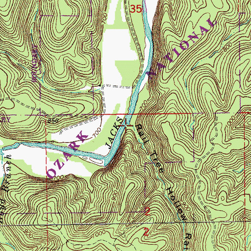 Topographic Map of Rail Tree Hollow, MO