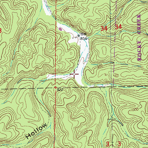 Topographic Map of Railroad Hollow, MO