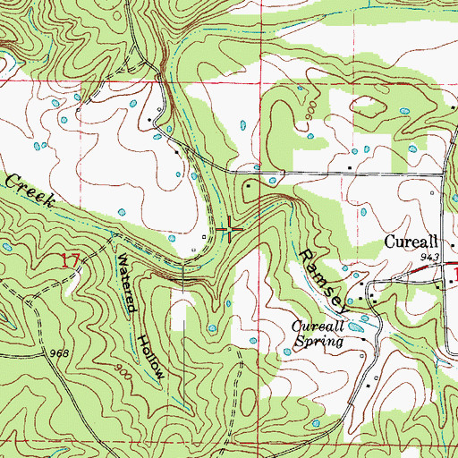 Topographic Map of Ramsey Hollow, MO