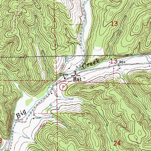 Topographic Map of Rat, MO
