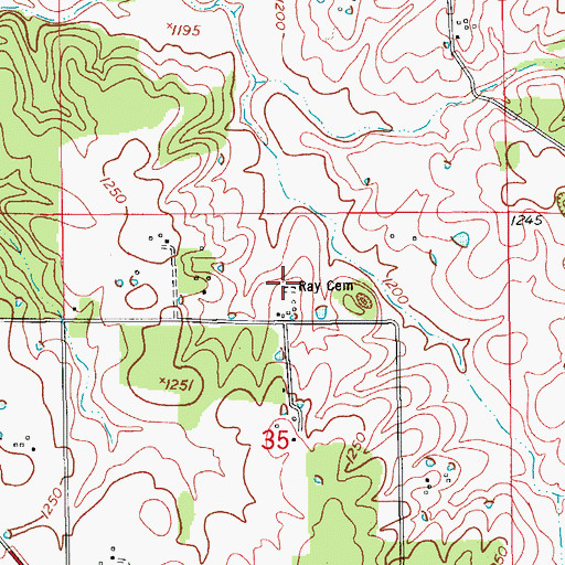 Topographic Map of Ray Cemetery, MO