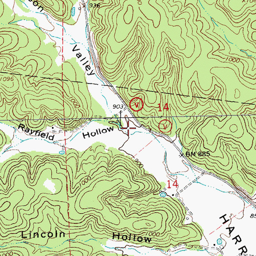 Topographic Map of Rayfield Hollow, MO