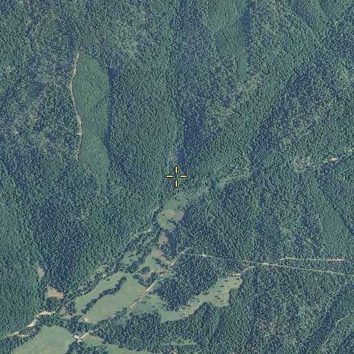 Aerial/Satellite Image of Red Hill Hollow, MO