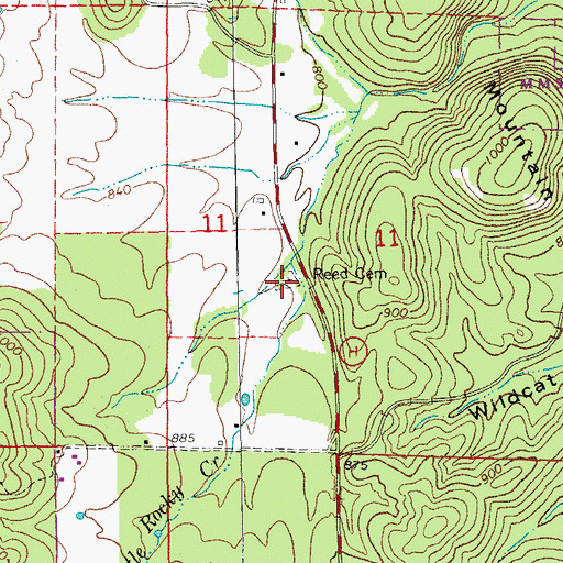 Topographic Map of Reed Cemetery, MO