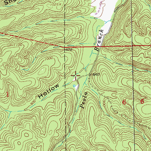 Topographic Map of Reed Hollow, MO