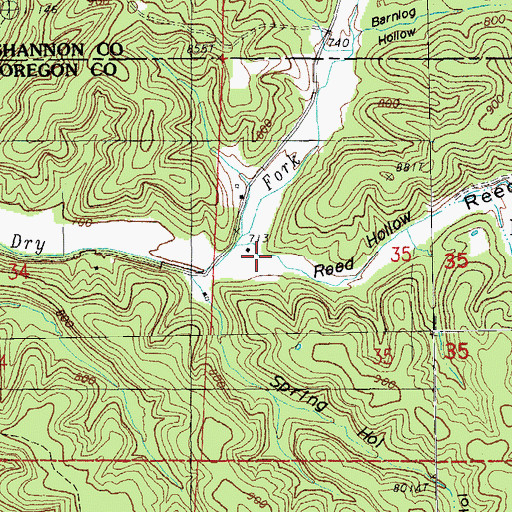 Topographic Map of Reed Hollow, MO