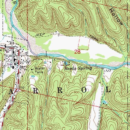 Topographic Map of Reeds Spring, MO