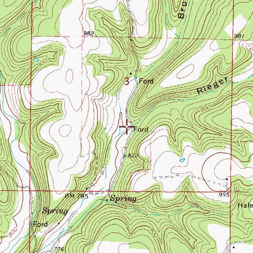 Topographic Map of Rieger Hollow, MO