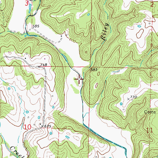 Topographic Map of Riley Branch, MO