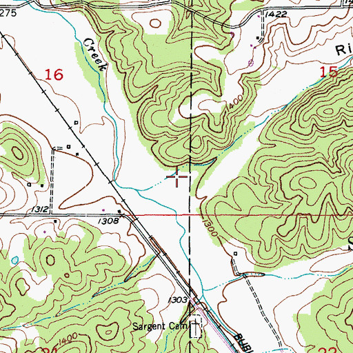 Topographic Map of Riley Hollow, MO