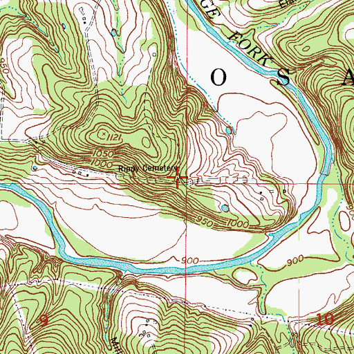Topographic Map of Rippy Cemetery, MO