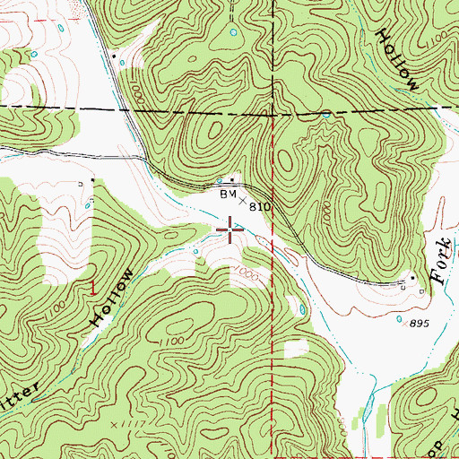 Topographic Map of Ritter Hollow, MO