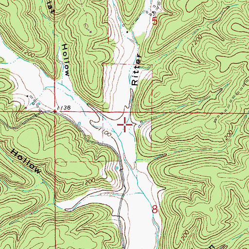 Topographic Map of Ritter Hollow, MO