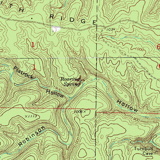 Topographic Map of Roaring Spring, MO
