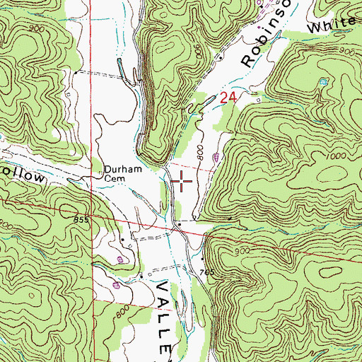 Topographic Map of Robinson Hollow, MO