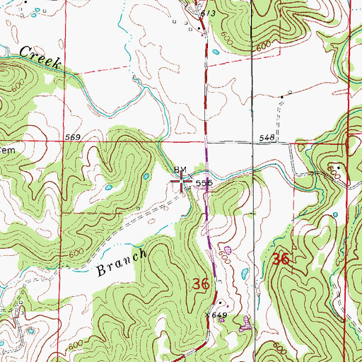 Topographic Map of Rocky Branch, MO