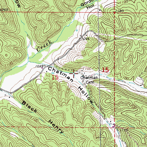 Topographic Map of Roney Hollow, MO