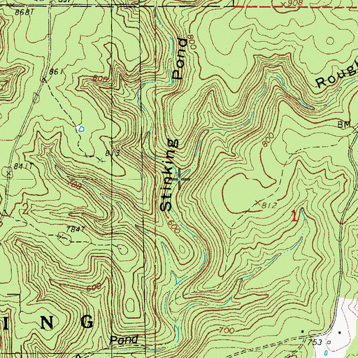 Topographic Map of Rough Hollow, MO