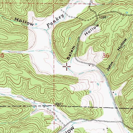 Topographic Map of Salem Hollow, MO