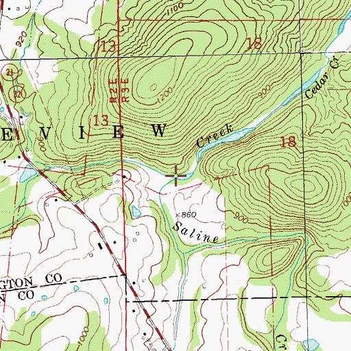 Topographic Map of Saline Creek, MO