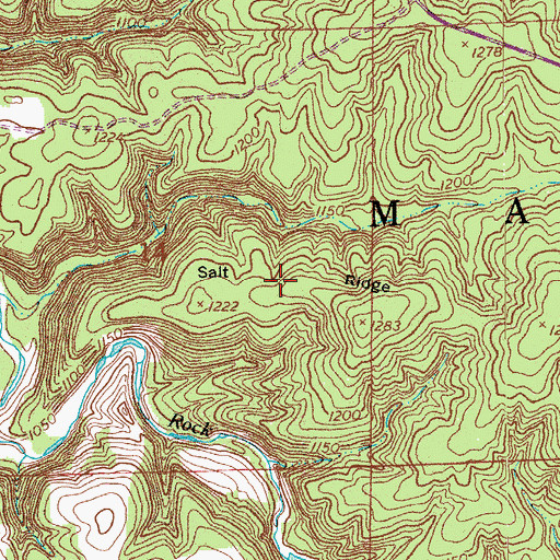 Topographic Map of Salt Ridge, MO