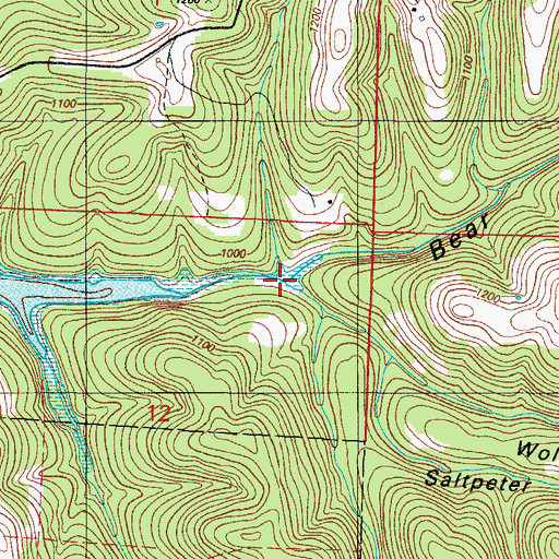 Topographic Map of Saltpeter Hollow, MO