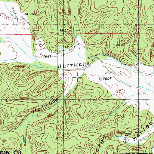 Topographic Map of Saltpetre Hollow, MO
