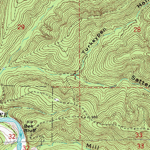 Topographic Map of Satterfield Hollow, MO