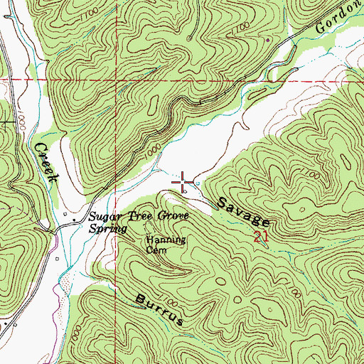 Topographic Map of Savage Hollow, MO