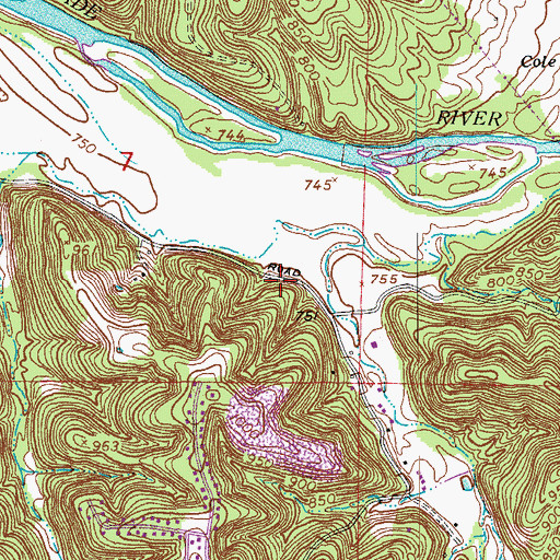 Topographic Map of Sawmill Hollow, MO