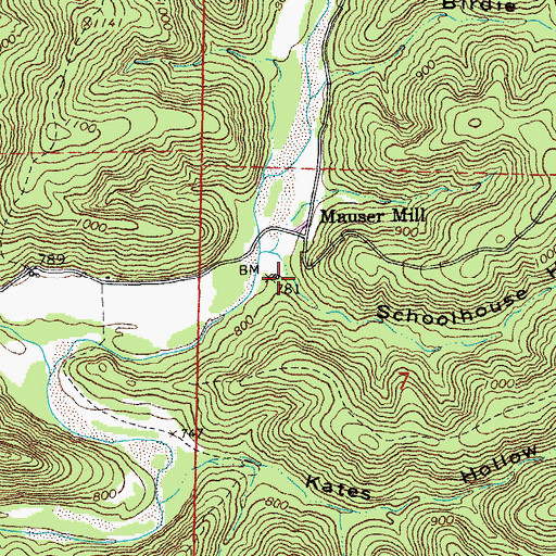 Topographic Map of Schoolhouse Hollow, MO