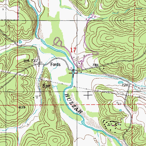 Topographic Map of Scott Branch, MO