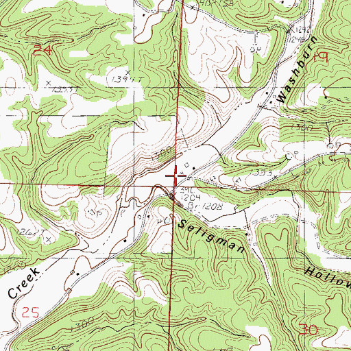 Topographic Map of Seligman Hollow, MO