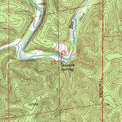 Topographic Map of Session Spring, MO