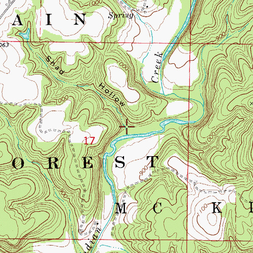 Topographic Map of Shad Hollow, MO