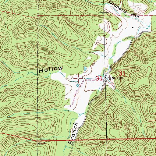 Topographic Map of Shanty Hollow, MO