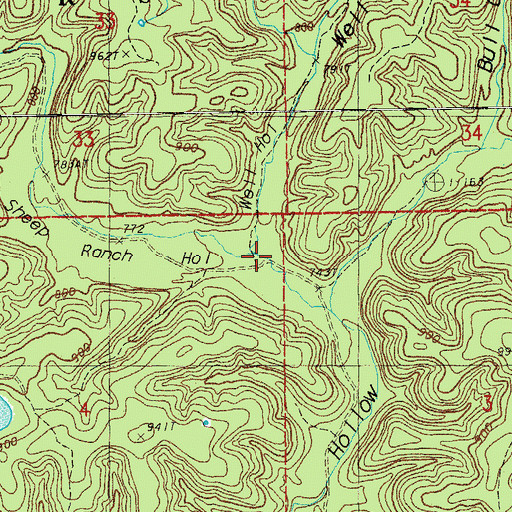 Topographic Map of Sheep Ranch Hollow, MO