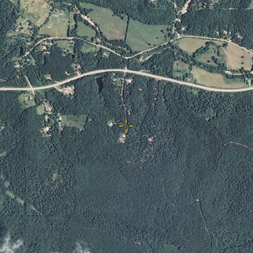 Aerial/Satellite Image of Shirley School, MO