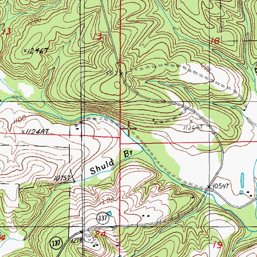 Topographic Map of Shuld Branch, MO