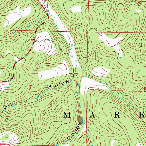 Topographic Map of Silo Hollow, MO