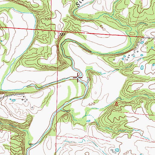 Topographic Map of Silver Fork, MO