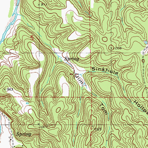 Topographic Map of Sinkhole Hollow, MO