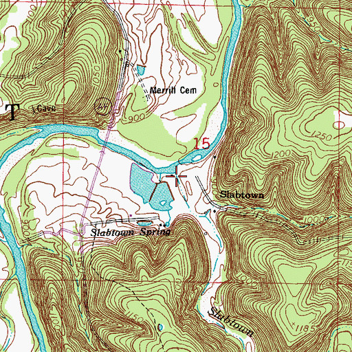Topographic Map of Slabtown Branch, MO