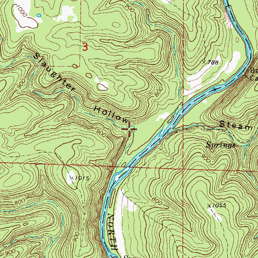 Topographic Map of Slaughter Hollow, MO