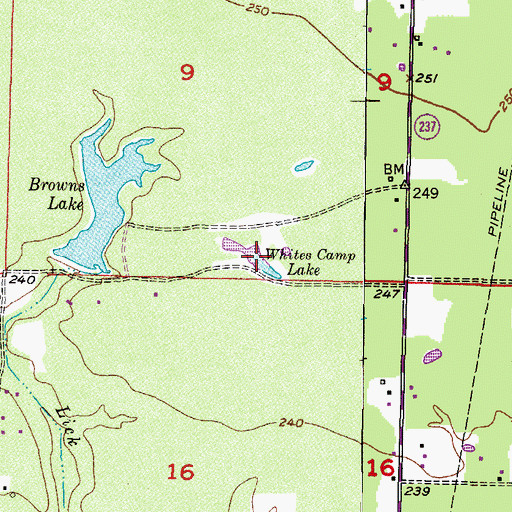 Topographic Map of Whites Camp Lake, AR