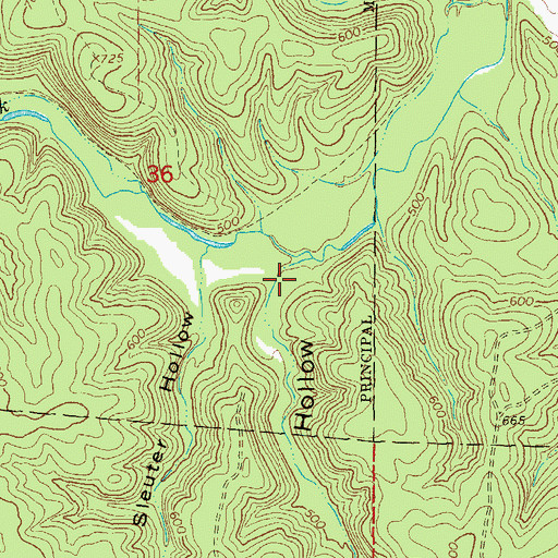 Topographic Map of Sleuter Hollow, MO
