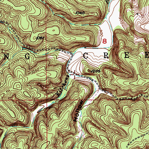 Topographic Map of Solomon Hollow, MO
